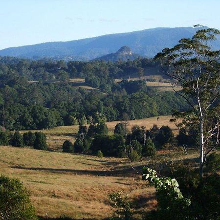 Grey Gum Lodge Nimbin Kültér fotó