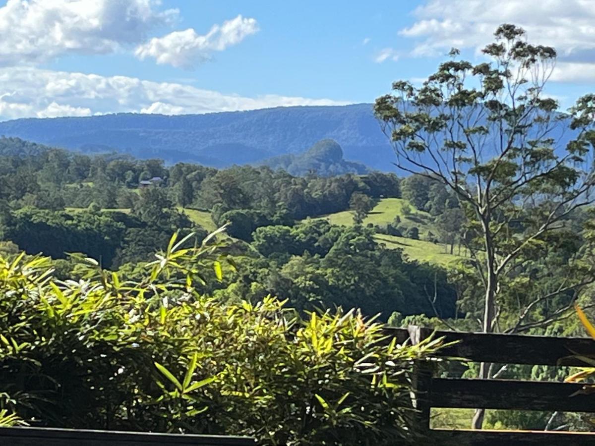 Grey Gum Lodge Nimbin Kültér fotó