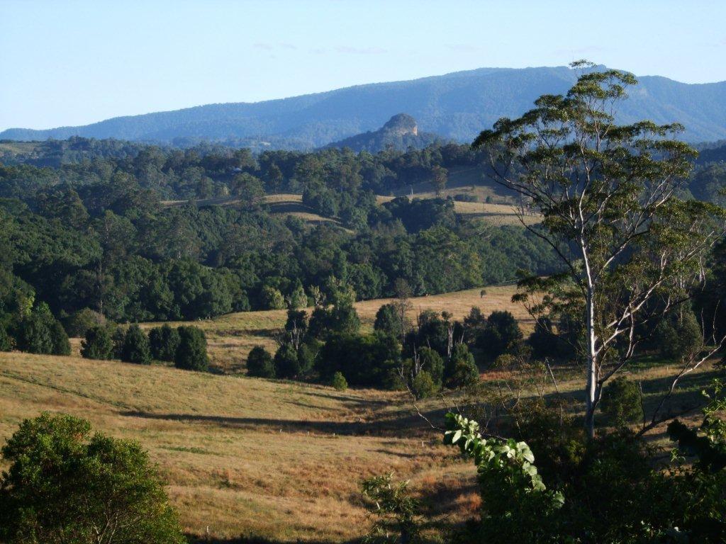 Grey Gum Lodge Nimbin Kültér fotó