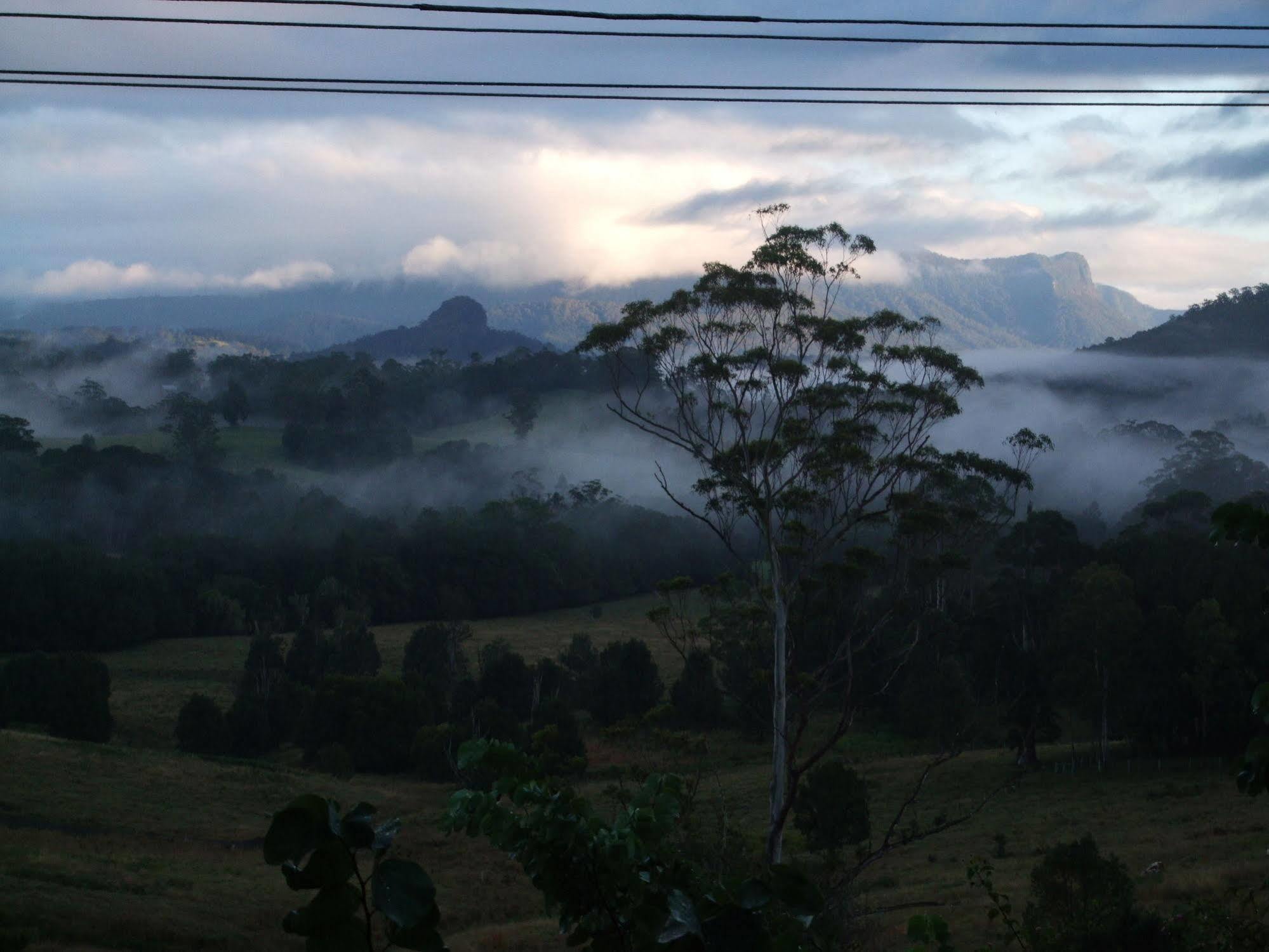 Grey Gum Lodge Nimbin Kültér fotó